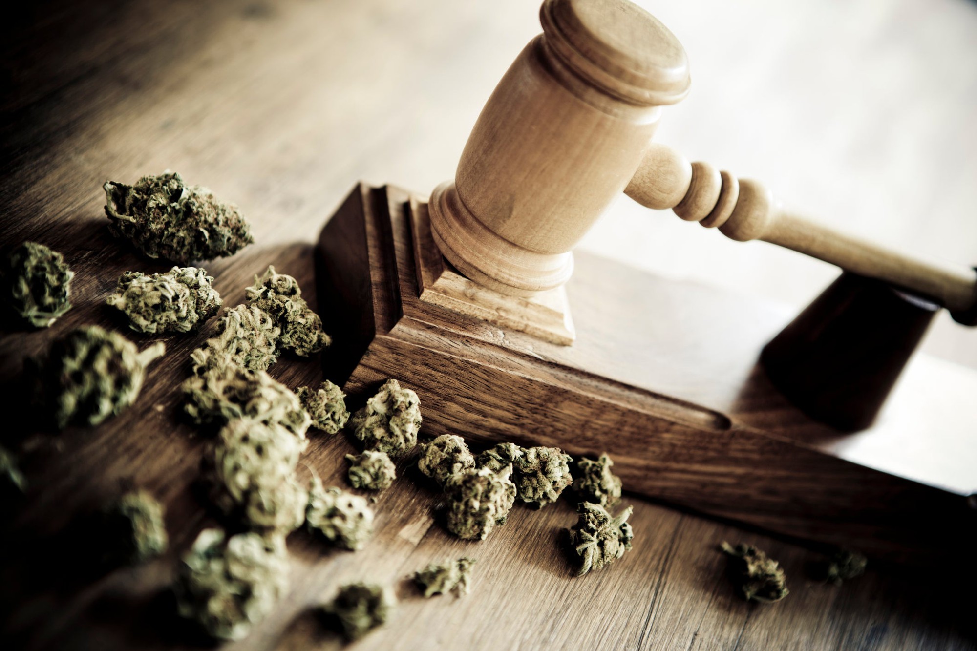 Marijuana Decriminalization
